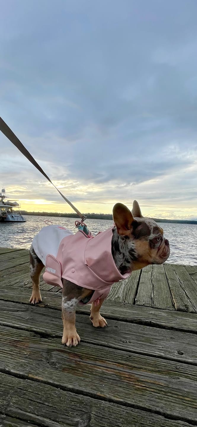 Customer photo review of Stormhunter Raincoat