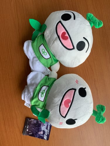 Customer photo review of Ateez Teez-Mon Plushie