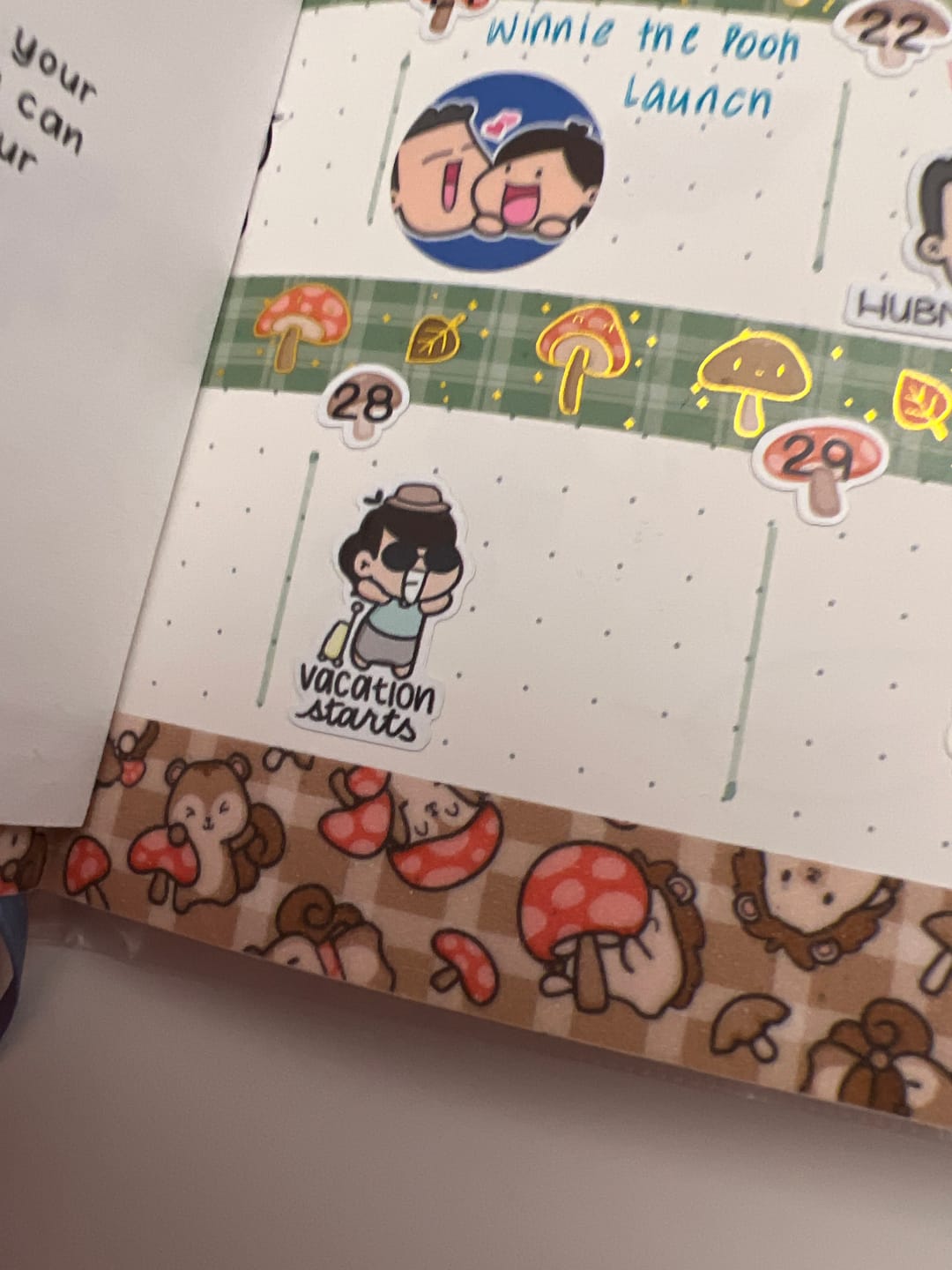 Customer photo review of Vacation Days Planner Stickers