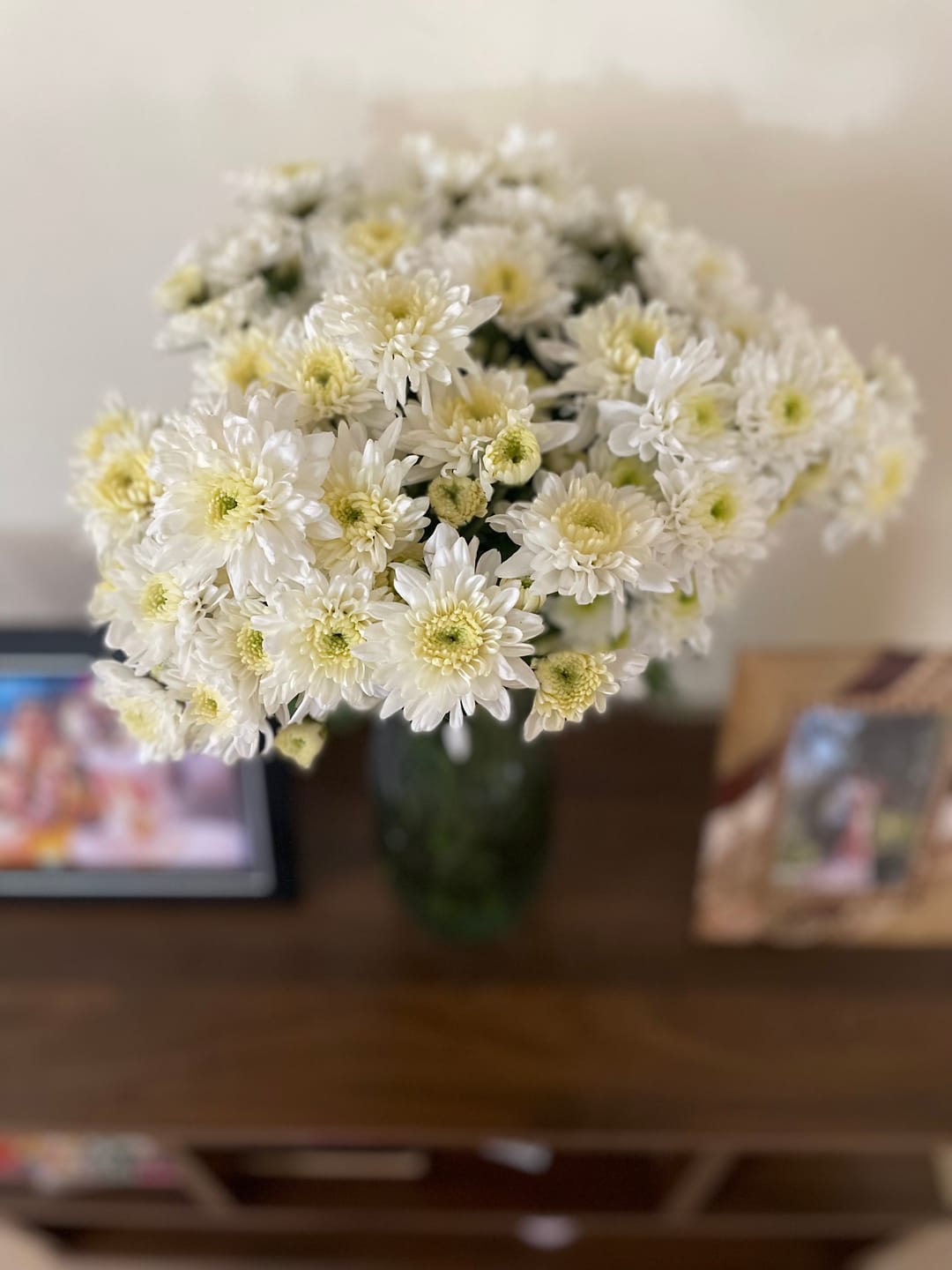 Customer photo review of Chrysanthemum