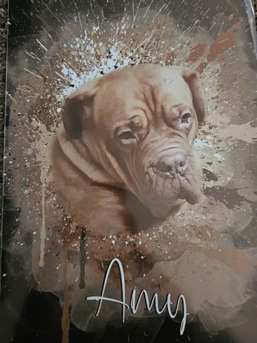 Customer photo review of Graffiti Pawtrait