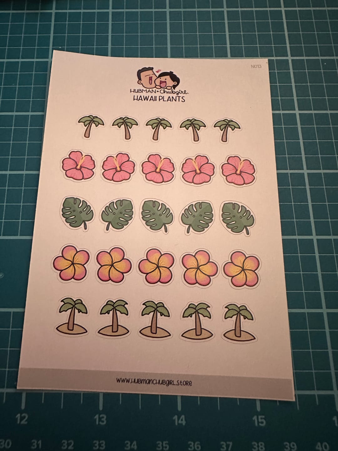 Customer photo review of Hawaii Plants Planner Stickers