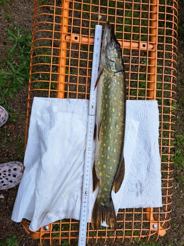 Customer photo review of 7g Smart Fishing Float