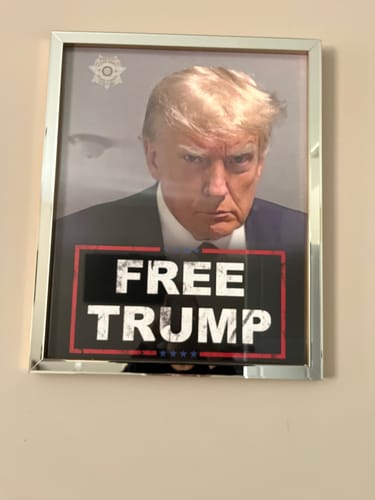 Customer photo review of Trump Mugshot 16" x 20" Poster