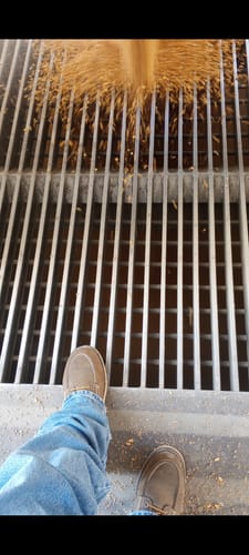 Customer photo review of 8 Inch Moc Toe Boot