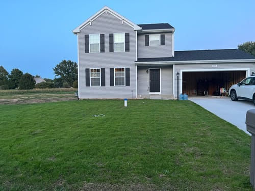 Customer photo review of GCI Turf Type Tall fescue Grass Seed