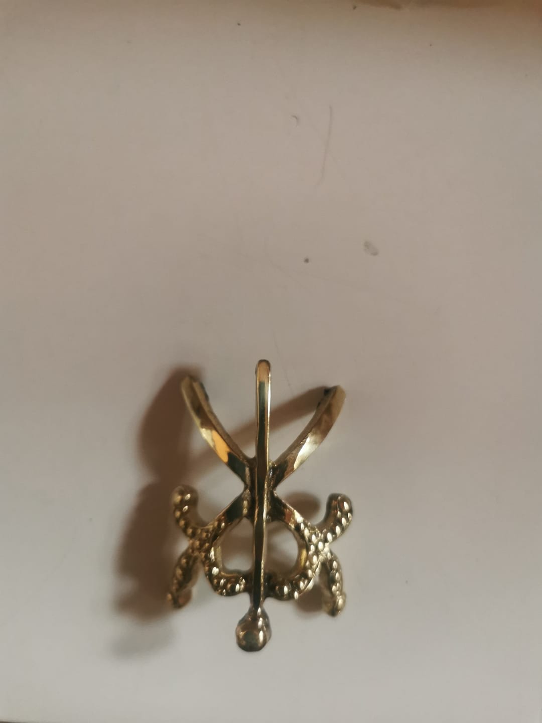 Customer photo review of Canne de Maître des Cérémonies