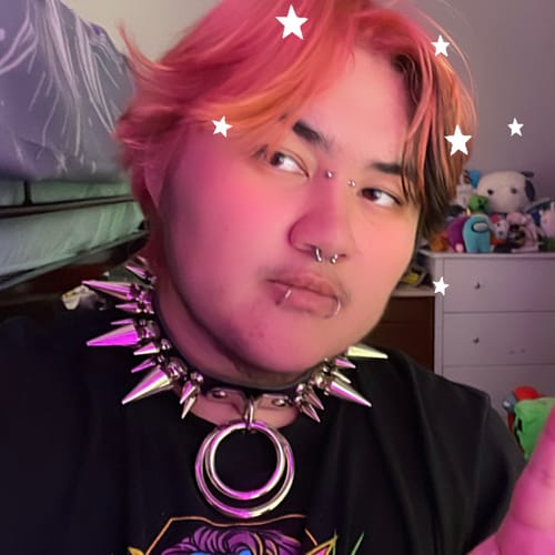 Customer photo review of Heavy Metal Double O Collar