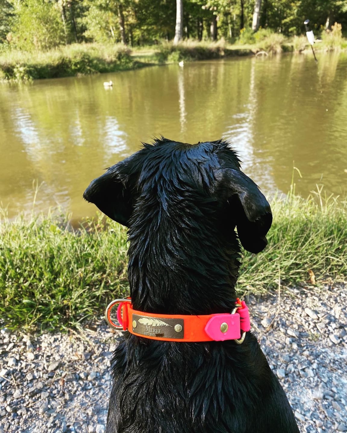 Customer photo review of Designer Rivet-On Tag