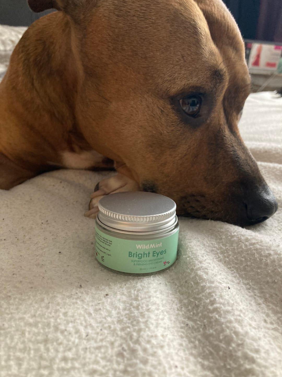 Customer photo review of Bright Eyes