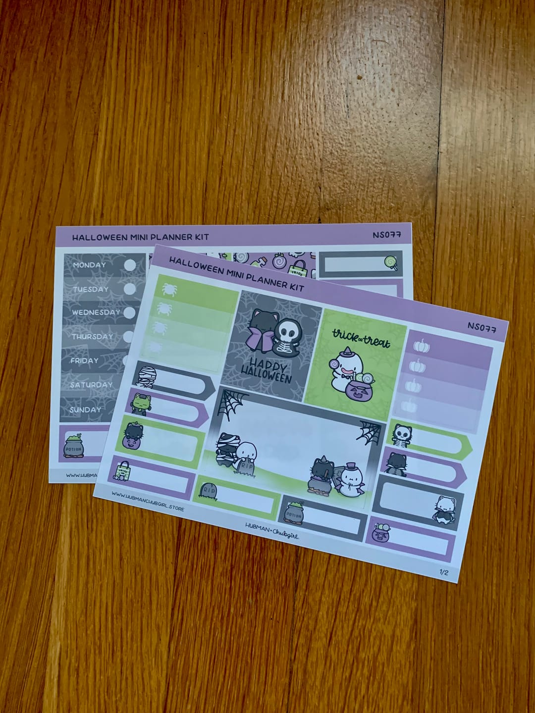 Customer photo review of Halloween 2023 Mini Planner Kit (Set of 2)