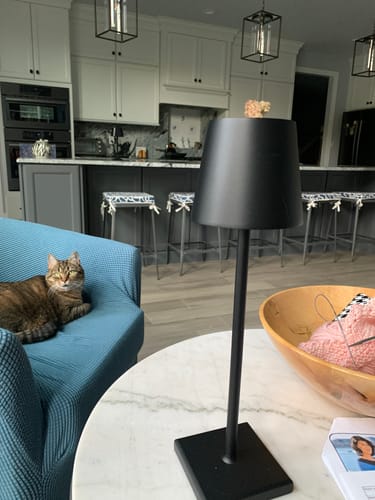 Customer photo review of Florence: Italian Designer Lamp