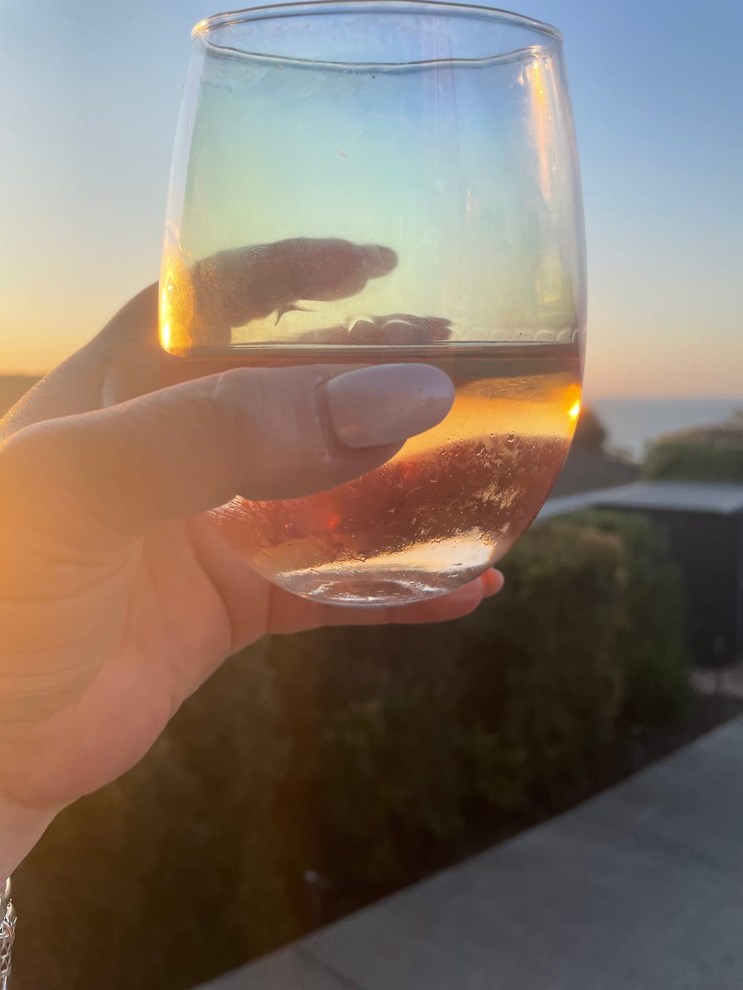 Customer photo review of Sauv Blanc & Rosé - 2 Pack