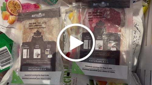 Customer video review of 6lb Beef Tripe Raw Dinner 12 x 227g - Frozen Dog Raw Food - Naturawls