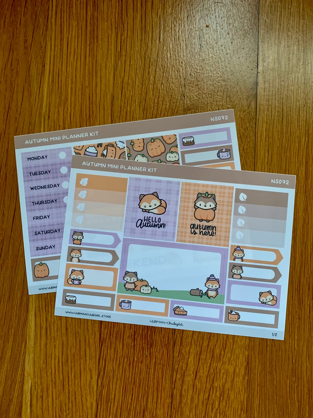 Customer photo review of Autumn Mini Planner Kit (Set of 2)