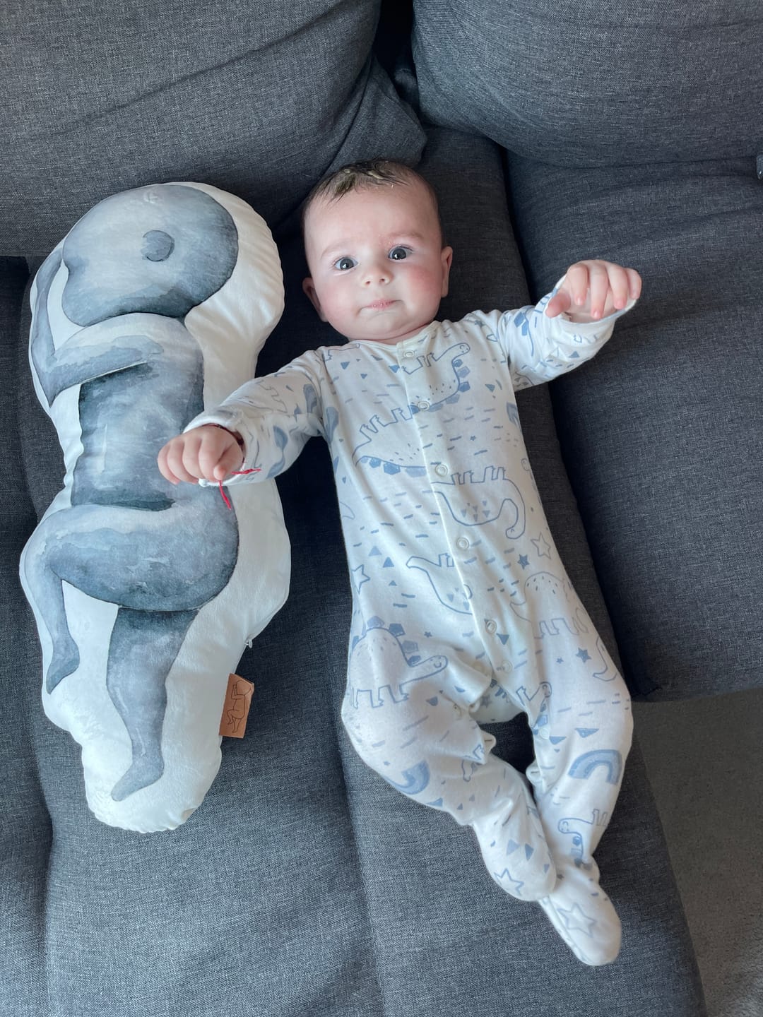 Customer photo review of Birth Pillow Watercolor One