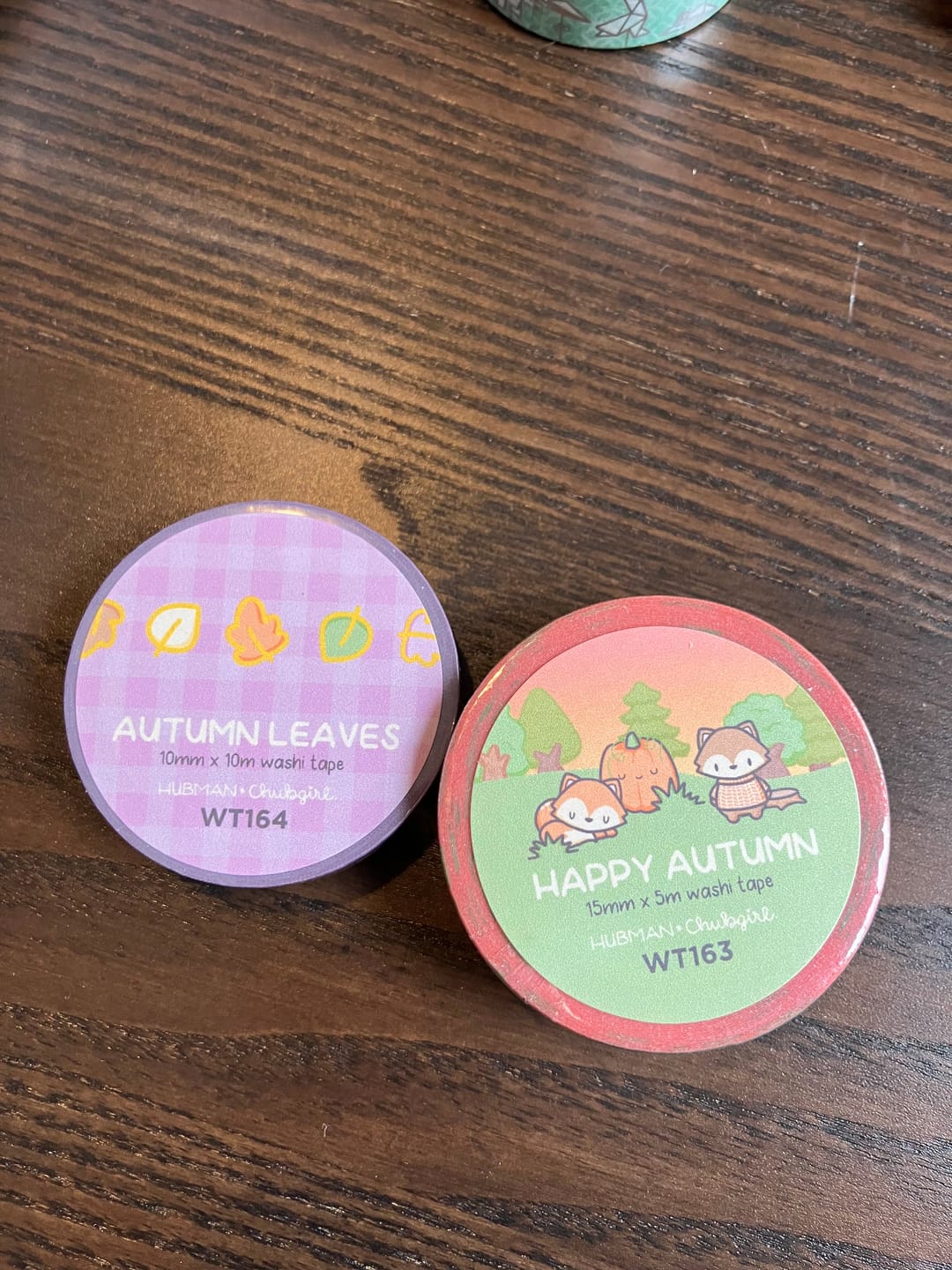 Customer photo review of Autumn 2023 Washi Tape (Set of 2)