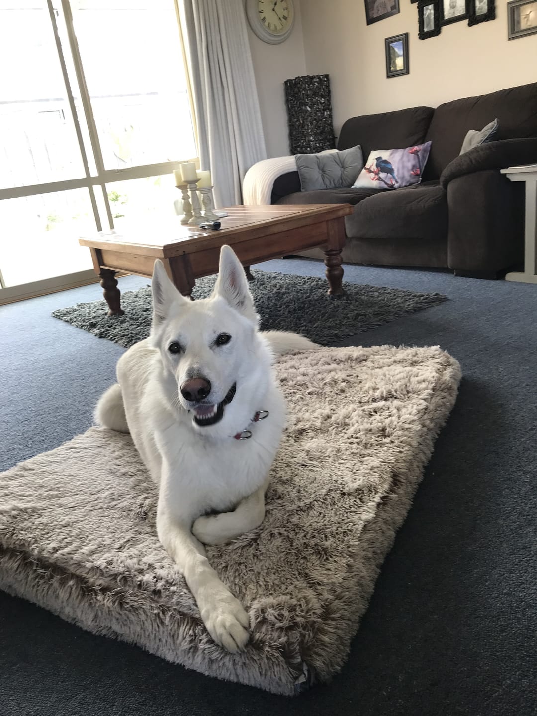Customer photo review of Brooklyn® Ultra Memory Foam Bed