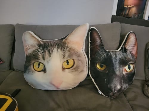 Customer photo review of Create A Custom Cat Pillow