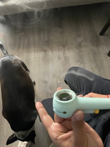 Customer photo review of Sky