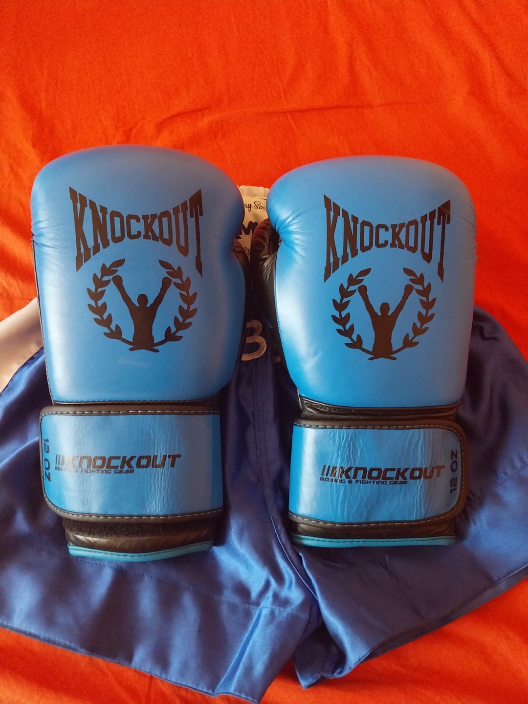 Customer photo review of Manusi Box Knockout Basic