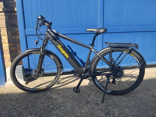Customer photo review of Electric Trekking Bike T1