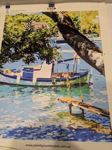 Customer photo review of Custom Paint By Numbers