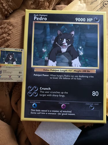 Customer photo review of Pokepet