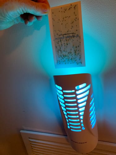 Customer photo review of Shieldeck® BuzzTrap - Plug-In Indoor Insect Smart UV Trap