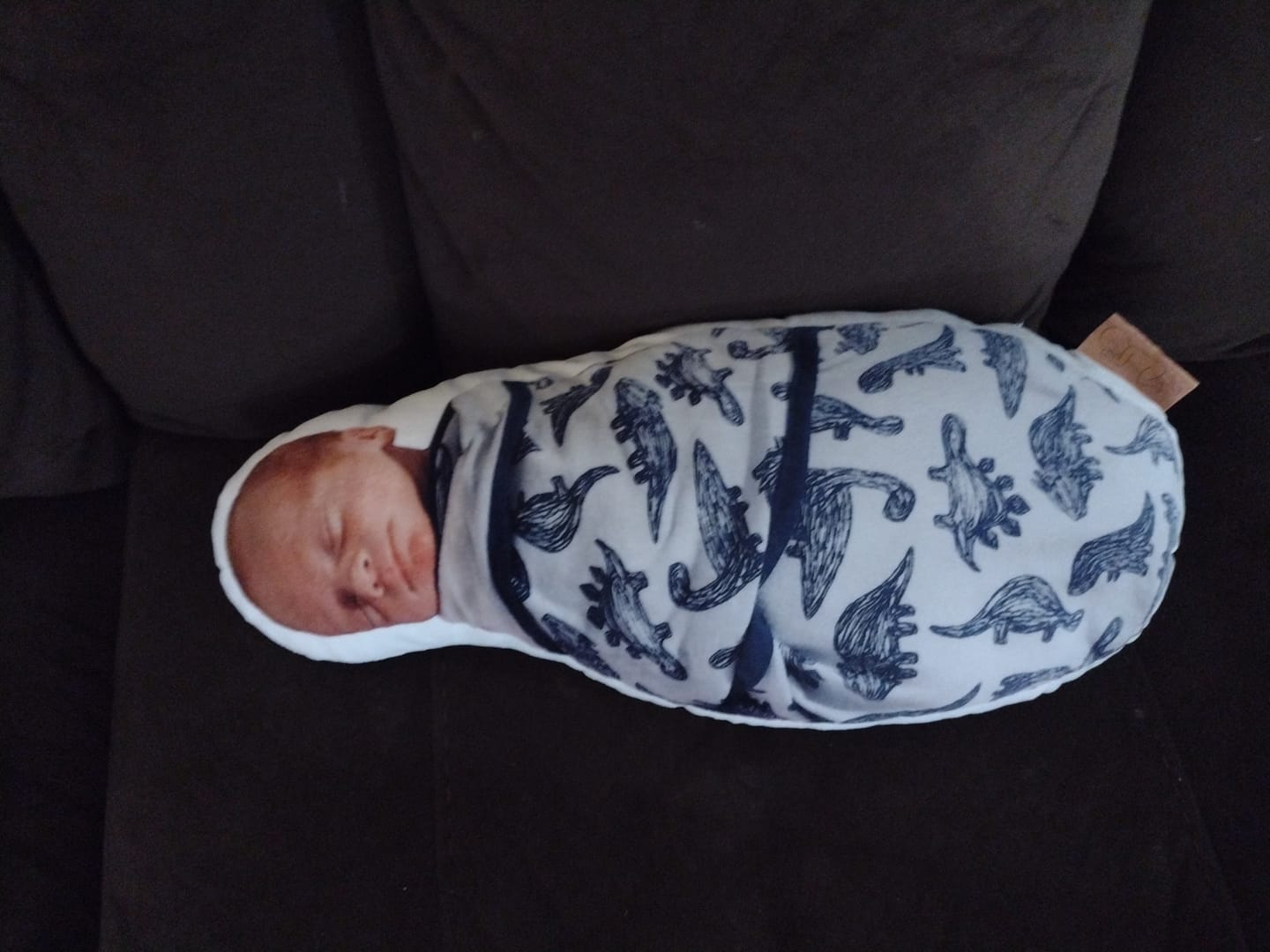 Customer photo review of Photo Birth Pillow