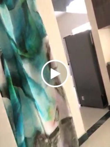 Customer video review of Pashtush Womens Extra Fine Soft Bamboo Stole, Multicolour