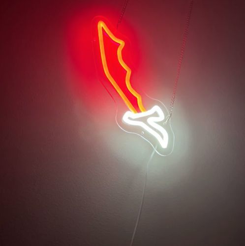 Customer photo review of DRAGON SCIMITAR LED NEON SIGN