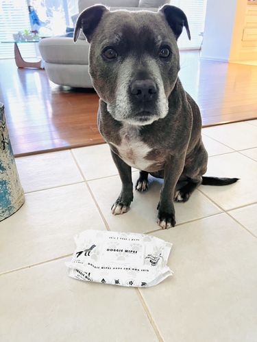 Customer photo review of Premium Doggie Wipes - Natural Skin & Coat Dog Wipes (80 Wipes)