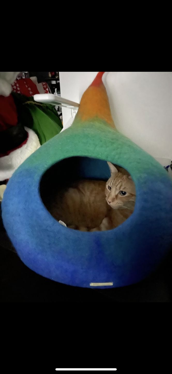 Customer photo review of Cat Cave - Rainbow Teardrop