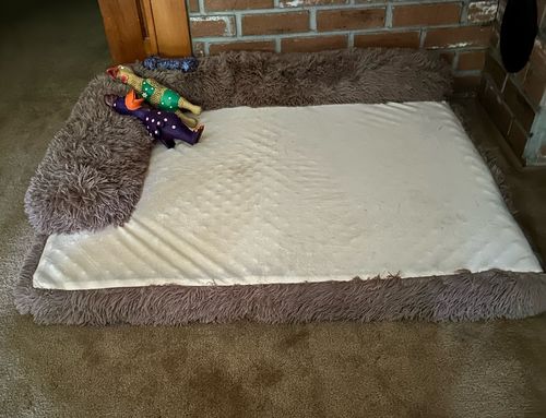 Customer photo review of NEW Orthopedic Memory Foam Calming Dog Bed