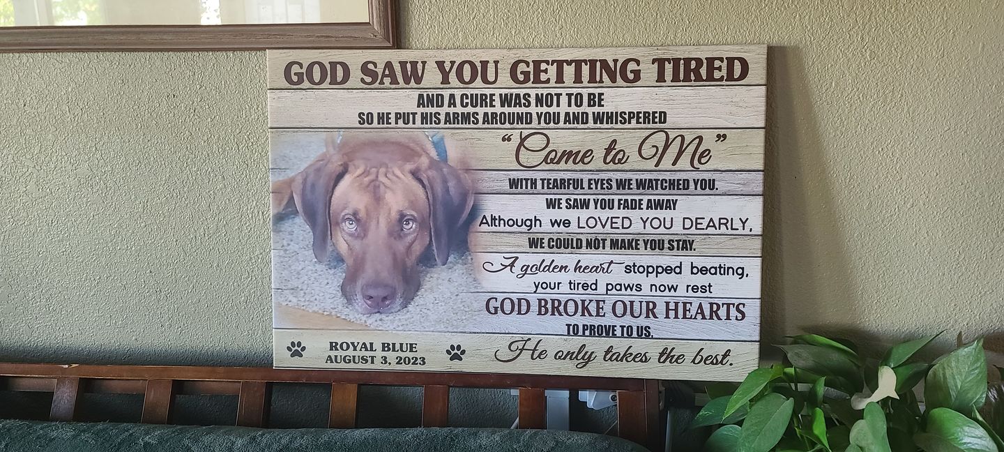 Customer photo review of Personalized Photo Canvas Prints, Dog Loss Gifts, Pet Memorial Gifts, Dog Sympathy, God Saw You Getting Tired Dem Canvas