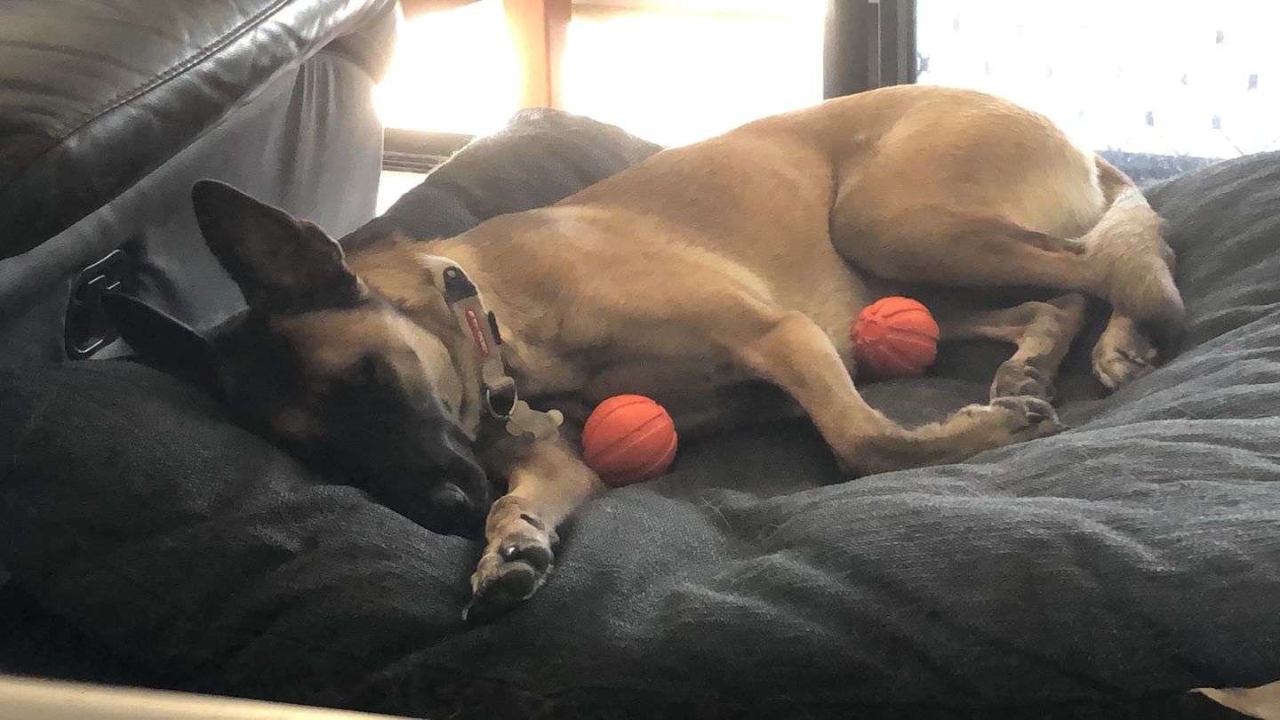 Customer photo review of Liker Ball (Best Ball EVER!)