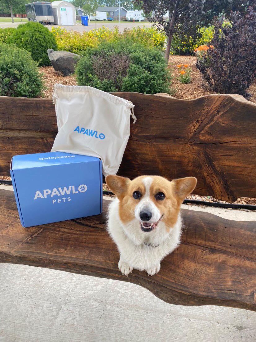 Customer photo review of 4-in-1 Dog Car Seat Cover