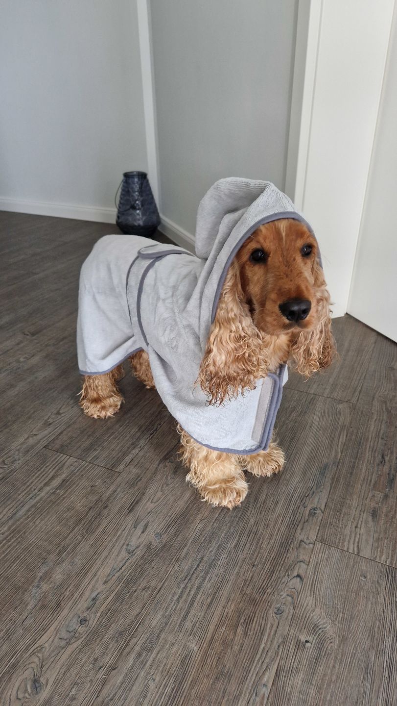 Customer photo review of Premium Hunde Bademantel