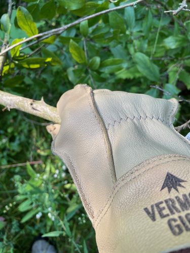 Customer photo review of The Vermonter