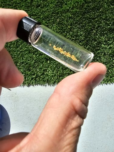 Customer photo review of *BOGO* Goldn Paydirt '$5,000 Nugget Giveaway' - Gold Panning Paydirt Concentrate