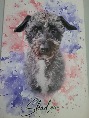 Jason S. review of Your Dog as Watercolor Portrait image 1 out of 1