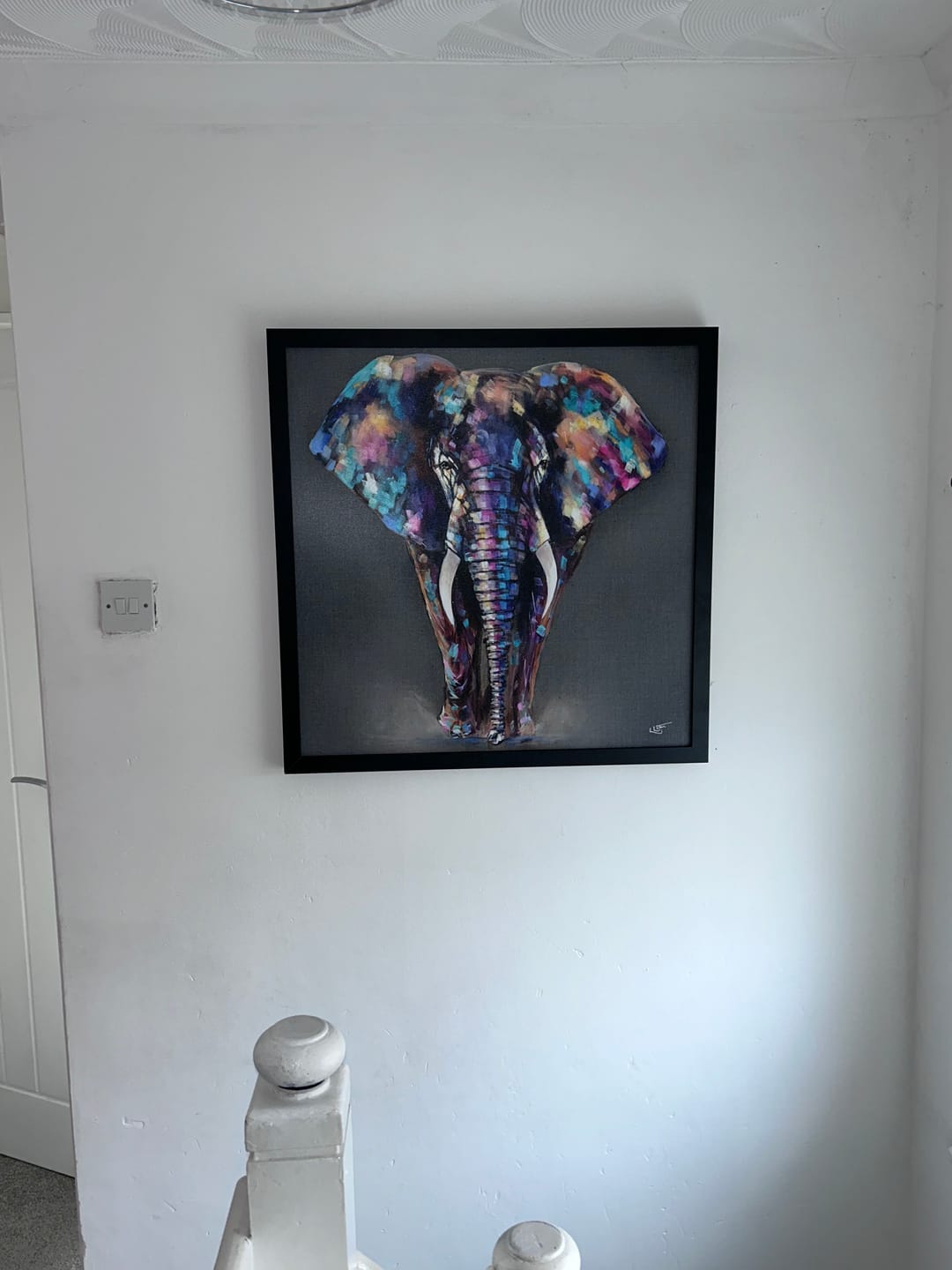 Customer photo review of Hugo Medium By Louise Luton **Free, Next Day Delivery