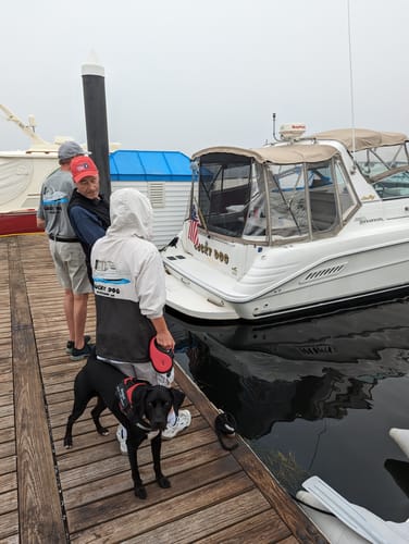 Customer photo review of Waterproof Lightweight Windbreaker - Pullover/Half-Zip