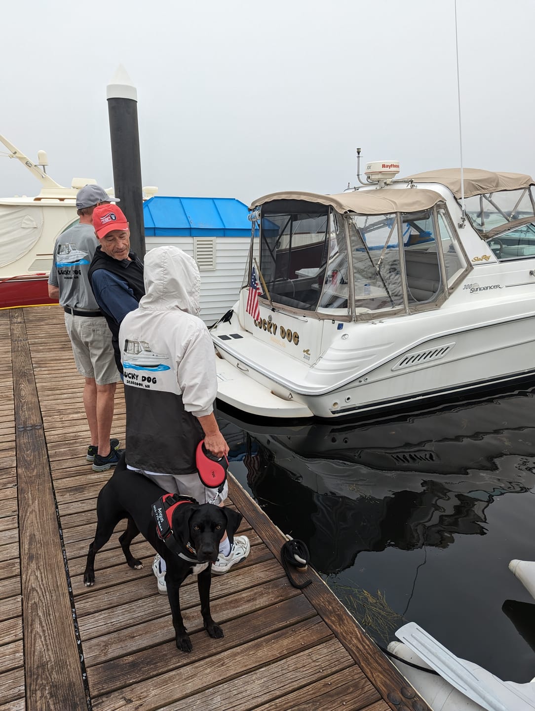 Customer photo review of Waterproof Lightweight Windbreaker - Pullover/Half-Zip