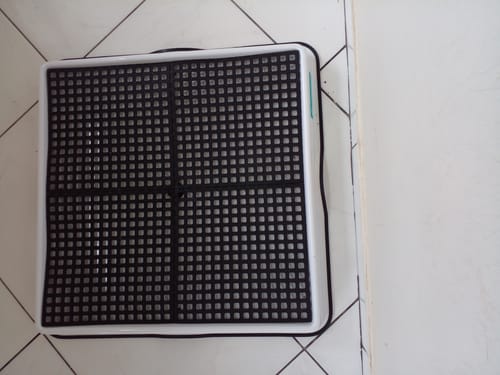 Customer photo review of Weasy Cão