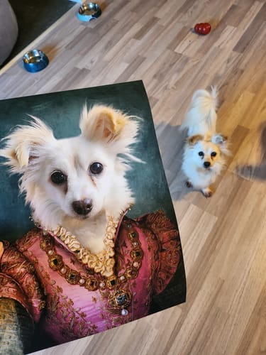 Customer photo review of The Countess - Custom Vintage Pet Portrait