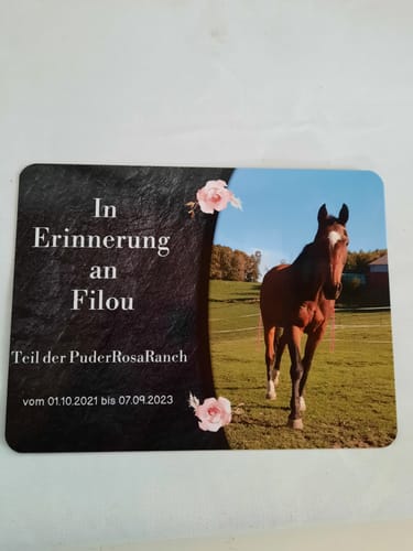 Customer photo review of Pferde Gedenktafel mit Foto & Spruch (UV- und wetterbeständig)