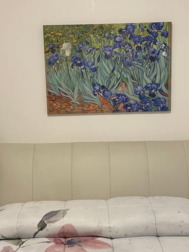 Customer photo review of Irises 1889, Vincent Van Gogh