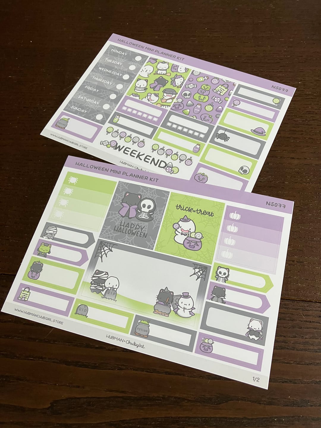 Customer photo review of Halloween 2023 Mini Planner Kit (Set of 2)